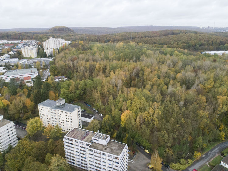 Die Bergehalde Hirschbach in Dudweiler wird für Folgenutzung vorbereitet.