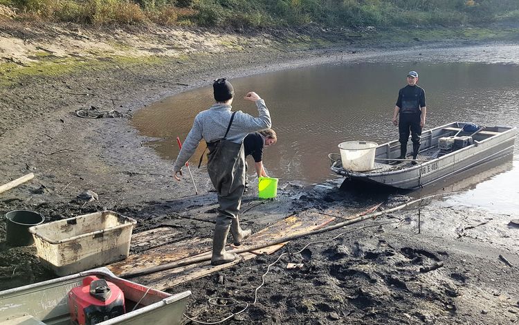 Experten im Einsatz. Foto: LIMARES GMBH, Essen