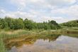 Idylle auf der Halde Brinkfortsheide.