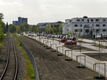 Insgesamt 53 Bäume wurden entlang der östlichen Niederrheinallee gepflanzt. Foto: RAG Montan Immobilien/Thomas Stachelhaus