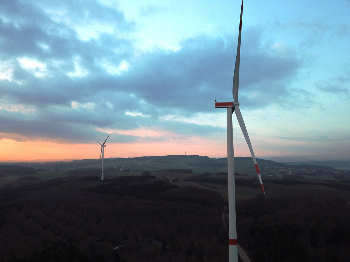 Die Halde Gohlocher Wald.