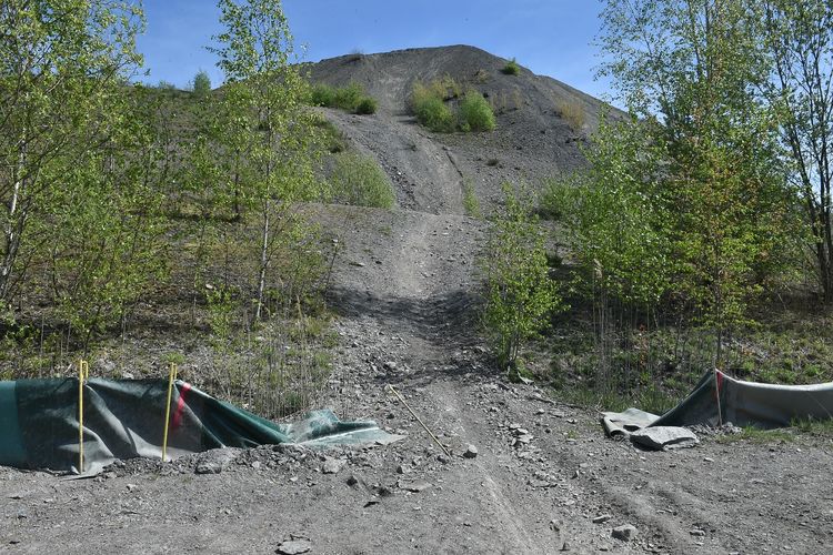 Immer öfter werden die Amphibienschutzzäune auf der Halde Lydia zerstört. Foto: RAG Montan Immobilien (Becker&Bredel, Winfried Becker)