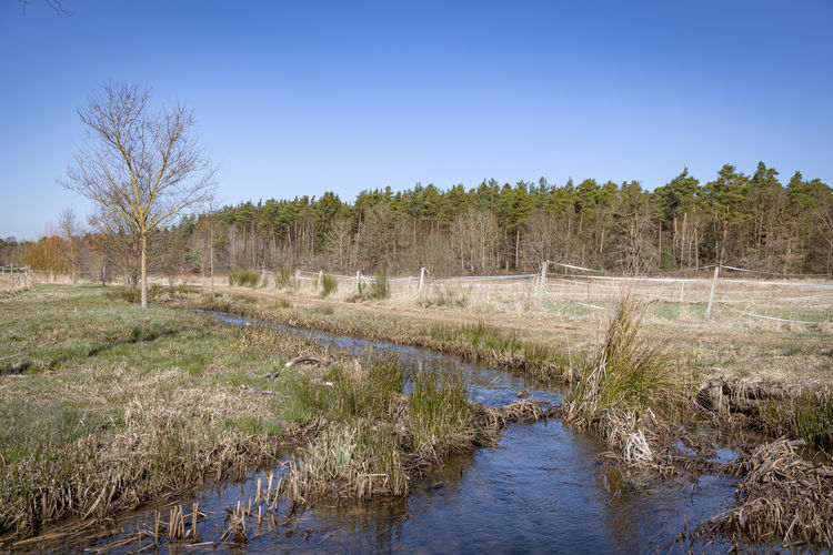 10,8 Kilometer gelungene Renaturierung. Hier der Erbach in Homburg-Reiskirchen. Foto: Landschaftsagentur Plus (BeckerBredel, Claus Kiefer)